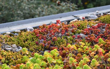 the cost of Loxbeare green roof installation
