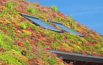 Loxbeare living roof systems