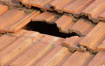 roof repair Loxbeare, Devon