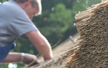 professional Loxbeare thatchers